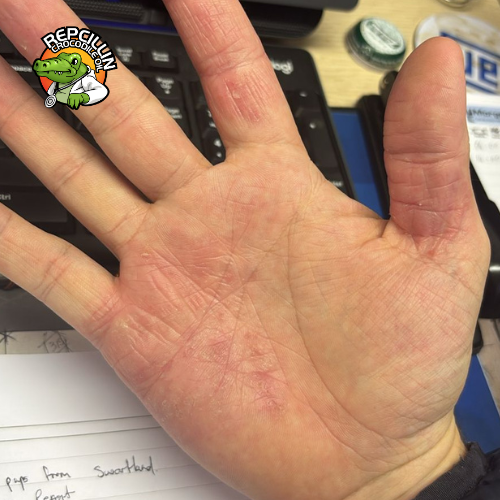 Nadine Jansen van Rensburg - After